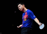 开云官方app入口-关于瑞典乒乓球队轻取日本乒乓球队，许昕高光表现的信息