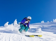 开云体育官方网站-银箭惊鸿，威廉姆斯绝杀法拉利，汉密尔顿一骑绝尘惊艳四座