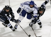 开云体育中国-当比利时横扫斯坦福桥，布鲁诺的战术革命与切尔西的阵痛