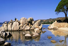 开云体育登录-曼城宣布瓜迪奥拉续约至2023年，将执教英超三年的简单介绍