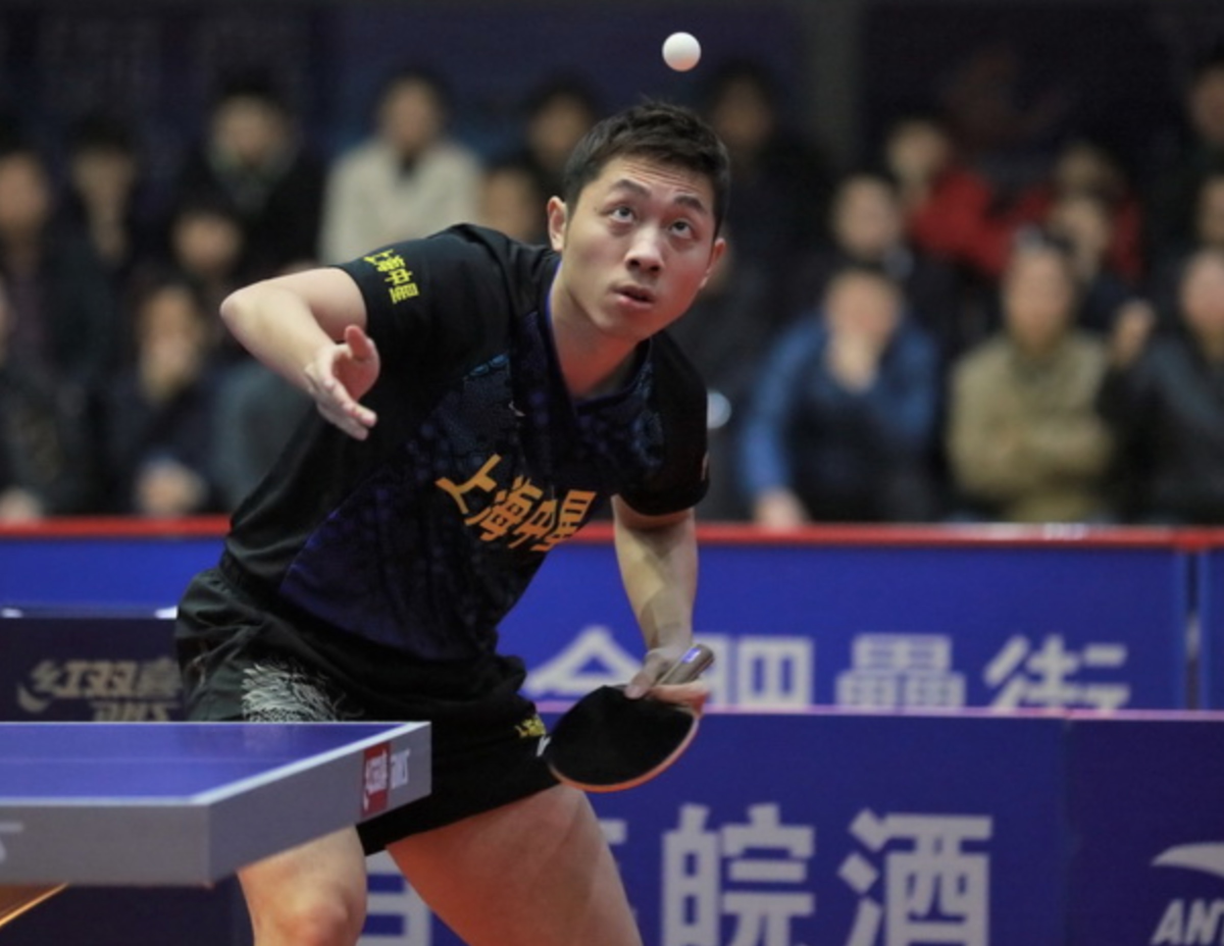 关于瑞典乒乓球队轻取日本乒乓球队,许昕高光表现的信息 关于瑞典乒乓球队轻取日本乒乓球队,许昕高光表现的信息