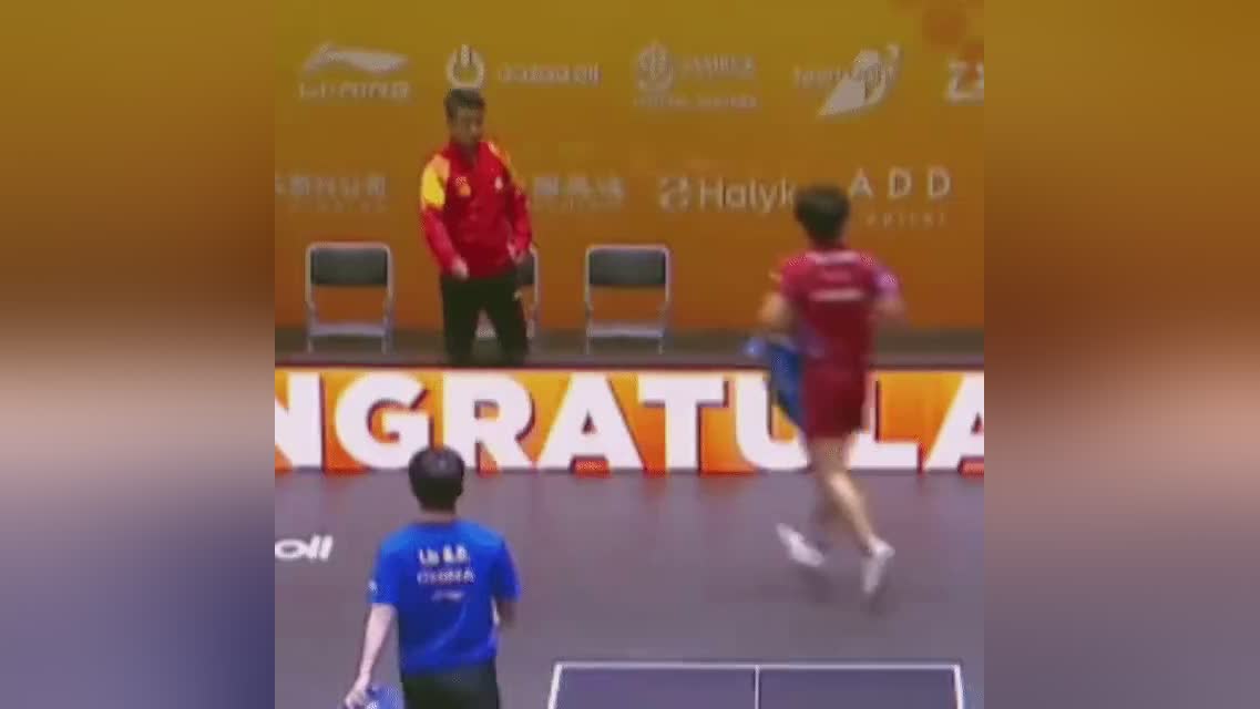 德国乒乓球队绝地反击法国乒乓球队,王皓完成帽子戏法的简单介绍 德国乒乓球队绝地反击法国乒乓球队,王皓完成帽子戏法的简单介绍