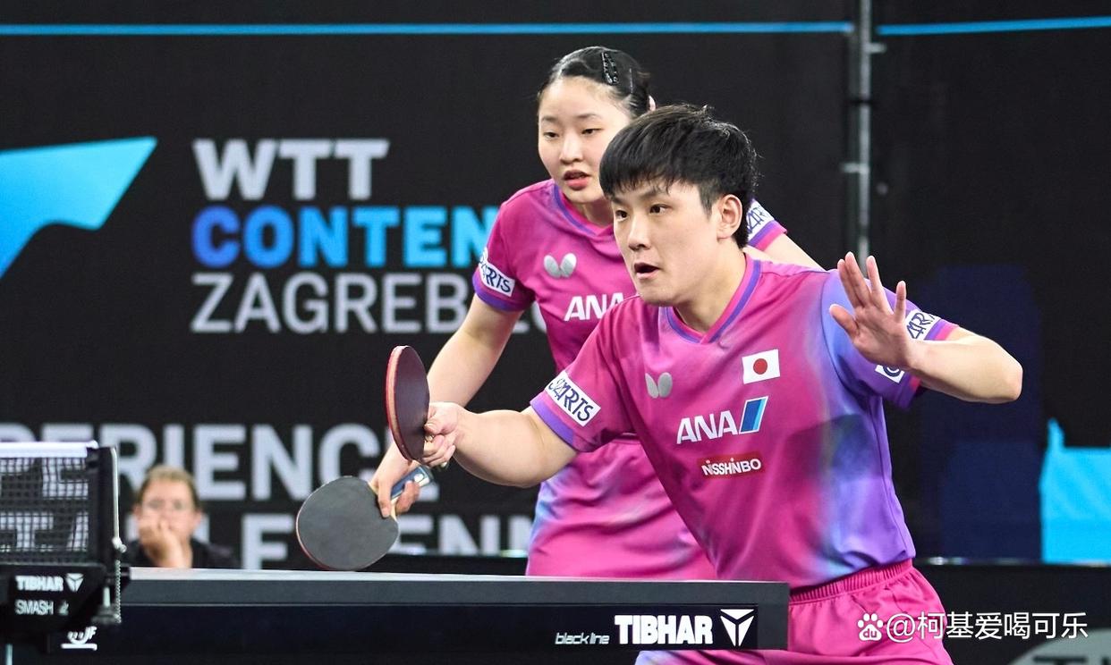 法国乒乓球队鏖战波兰乒乓球队,张本智和绝境逆转的简单介绍 法国乒乓球队鏖战波兰乒乓球队,张本智和绝境逆转的简单介绍