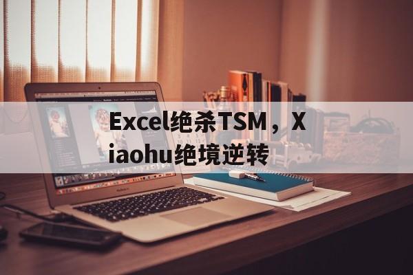 Excel绝杀TSM,Xiaohu绝境逆转 Excel绝杀TSM,Xiaohu绝境逆转