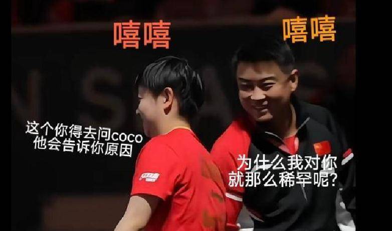 中国队完胜德国队,王皓关键制胜 中国队完胜德国队,王皓关键制胜