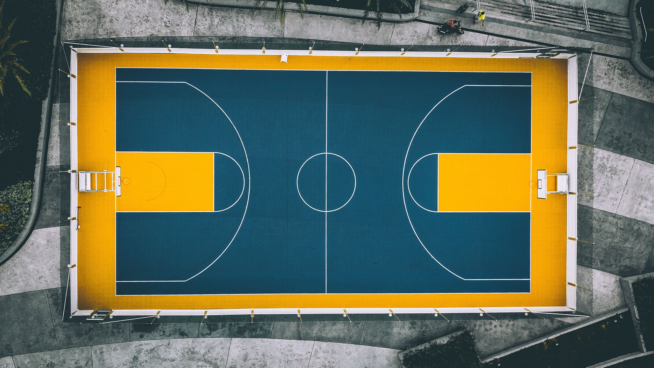 融合了CBA（深圳队）NBA（森林狼）以及NBA/国际球员（杰伦·格林）的元素，非常有趣且具有跨时空的想象力。我们可以将其构建在一个平行宇宙或者高强度的国际篮球邀请赛的背景下